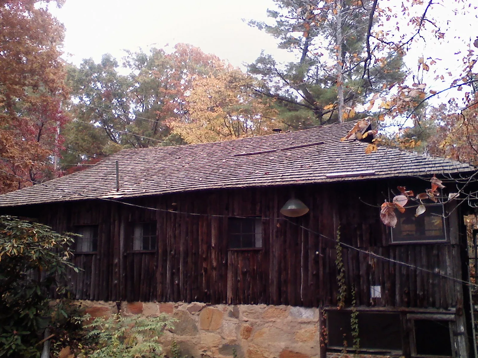 Weathered wood shake roof on a rustic board sided cabin in Greer